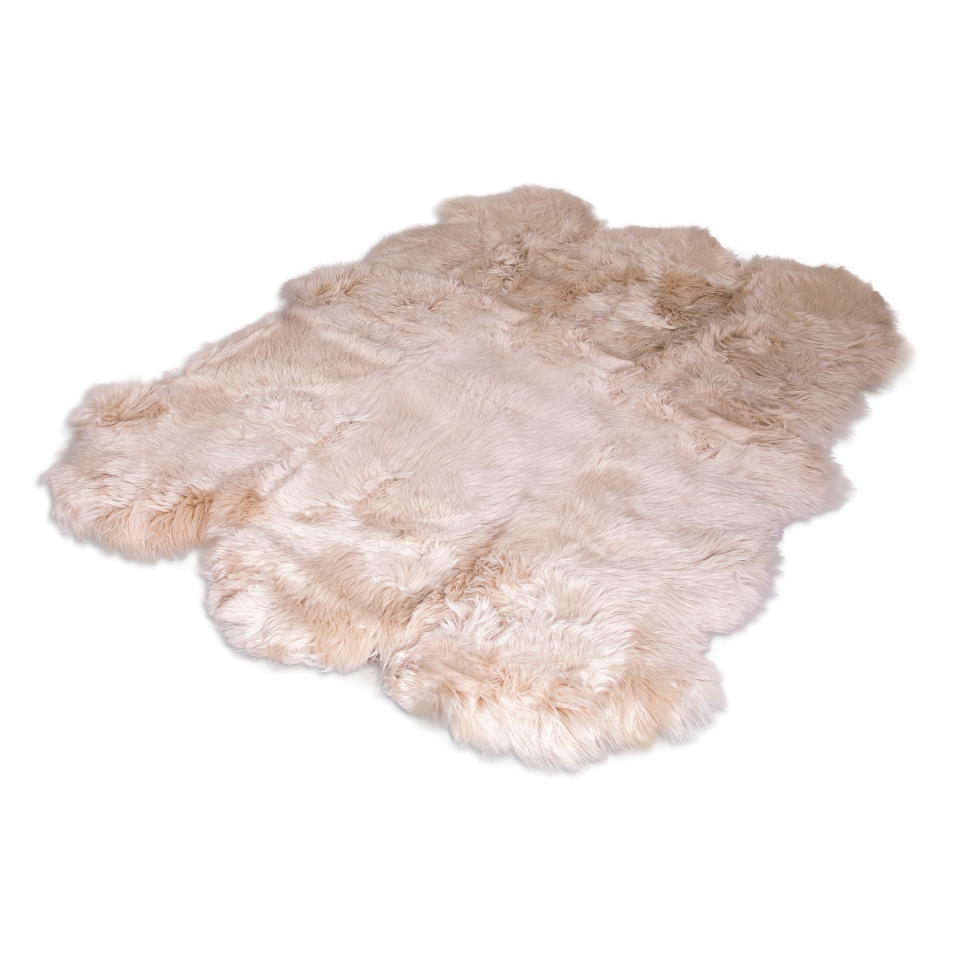 Natural New Zealand Sextuple Pelt Sheepskin Rug